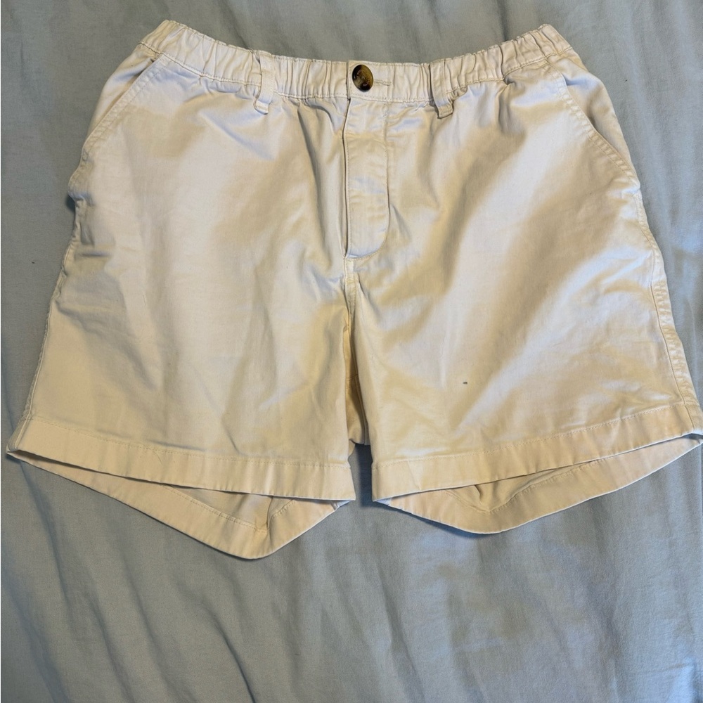 Mens Chubbies shorts